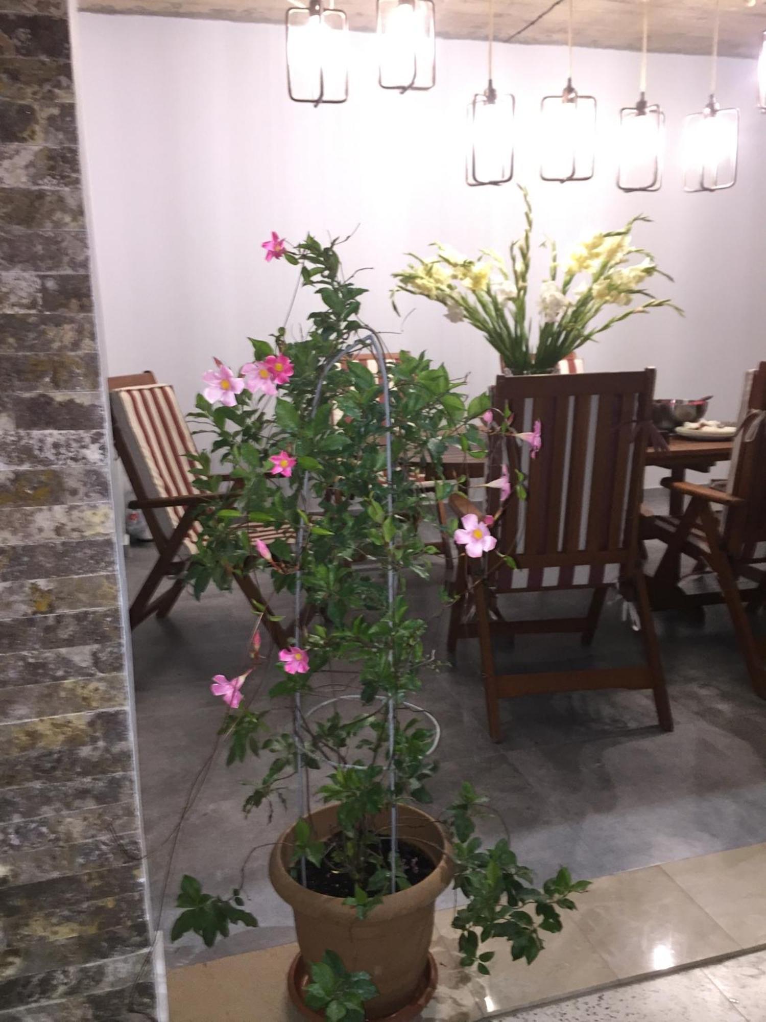 Guest House Smile Kobuleti Zewnętrze zdjęcie