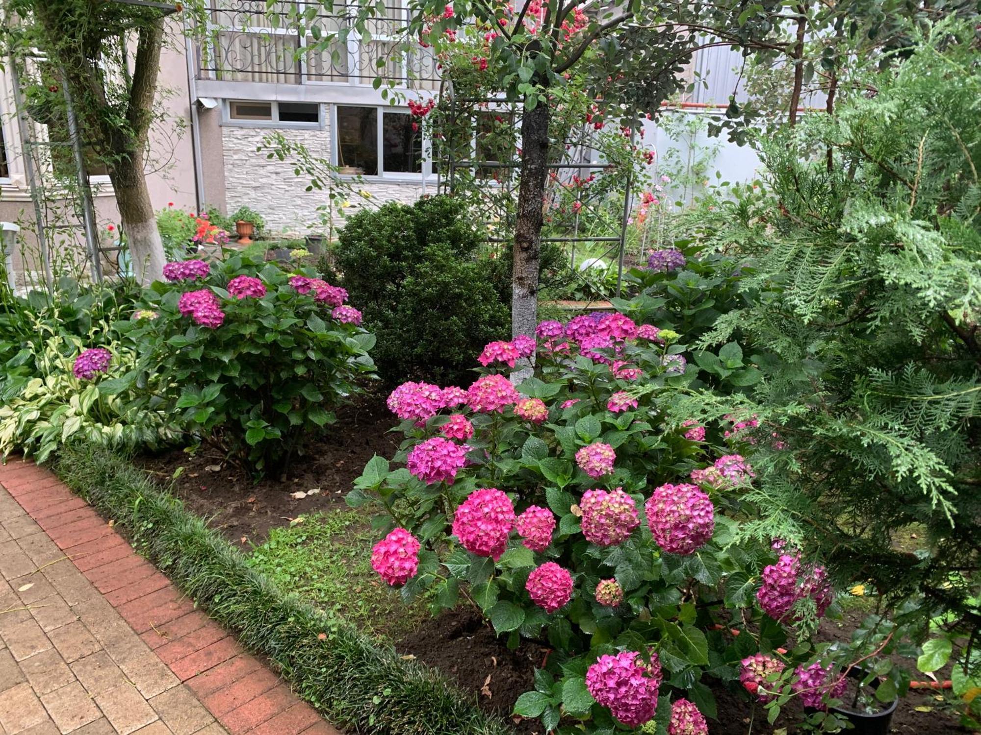Guest House Smile Kobuleti Zewnętrze zdjęcie